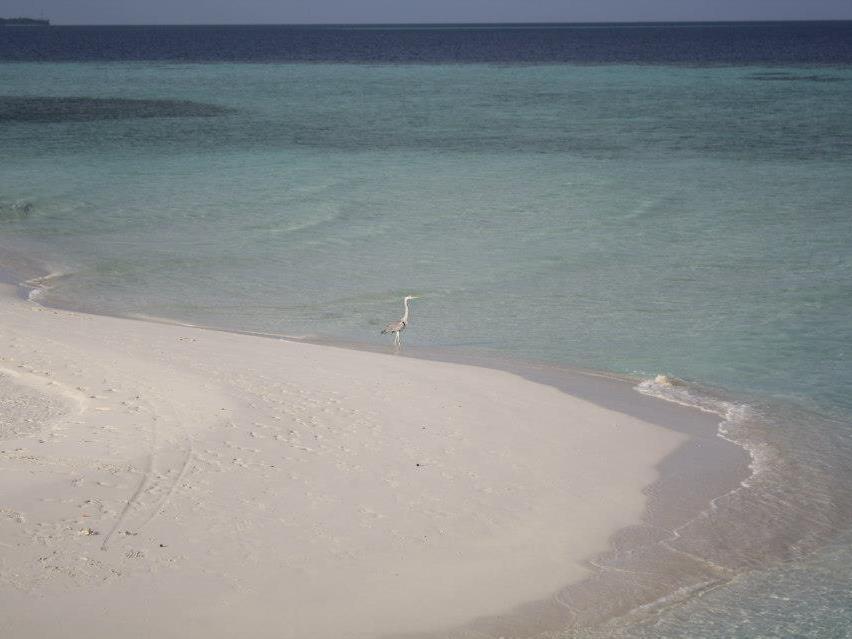 Fulidhoo La Perla Guest House 외부 사진